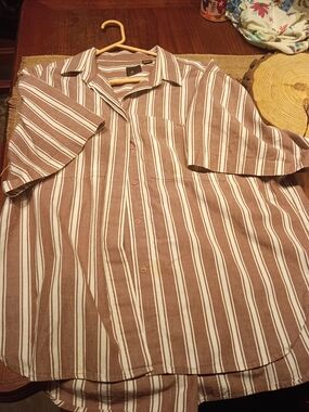 Men's Brown & White Striped Short-Sleeve Button-Down Shirt